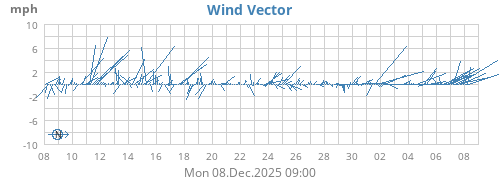 Wind Vector