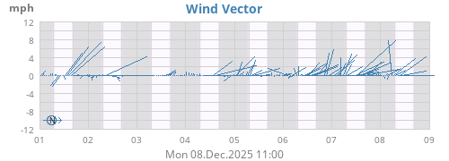 Wind Vector